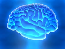 3D human brain from the side over a blue background
