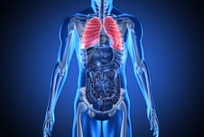 Digital blue human with highlighted lungs on dark blue background